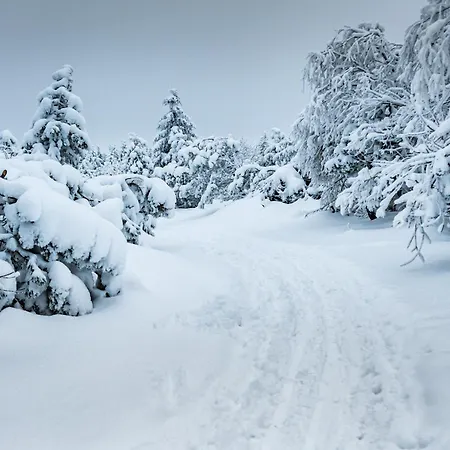 דירה Zugspitze Sonn.schein *