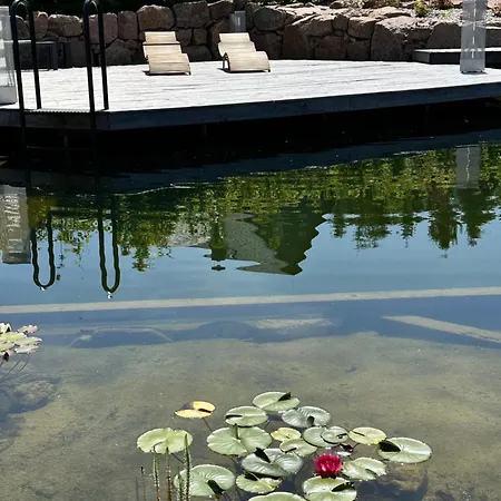 Zugspitze Sonn.schein *