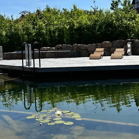 Zugspitze Sonn.schein Apartment Altenberg